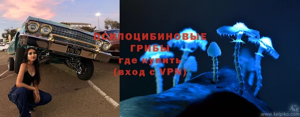 твердый Алзамай