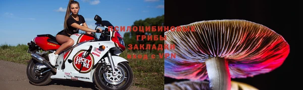 твердый Алзамай