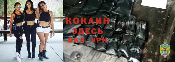твердый Алзамай