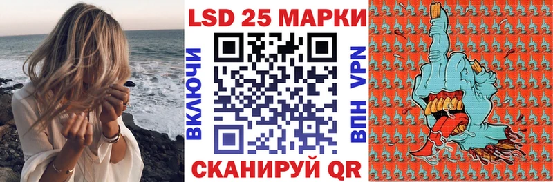 Марки N-bome 1500мкг где можно купить наркотик Кинель