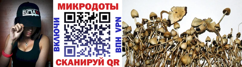 Псилоцибиновые грибы MAGIC MUSHROOMS  Кинель 