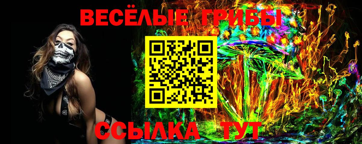 Псилоцибиновые грибы Psilocybe Кинель